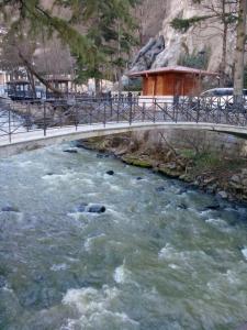 Paesaggio naturale nelle vicinanze dell'affittacamere