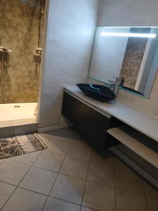 a bathroom with a sink and a mirror and a shower at Bienvenue in Noyers-sur-Cher