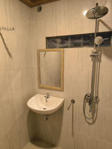 Koupelna v ubytování Apollo Homestay