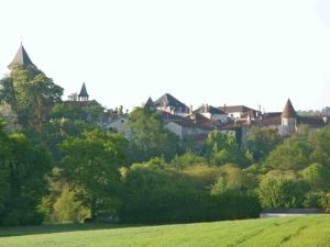 シャンパニャック・デ・ベルエアーにあるGîte lumineux 3 chambres avec WiFi et parking à Champagnac-de-Belair - FR-1-616-464の緑地の丘の上の一団