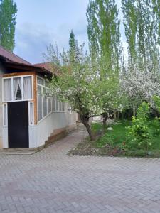 a house with a tree next to a brick driveway at Kairat guest house in Kashkaldak