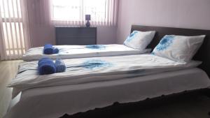 Dos camas en un dormitorio con calcetines azules. en Apartment Sophie en Plovdiv