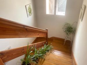 Fotografie z fotogalerie ubytování Las Hadas Albergue -solo para Peregrinos - Vegano -Bar v destinaci Reliegos