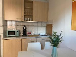 Kuchyň nebo kuchyňský kout v ubytování Gemütliche 3 Zimmer Wohnung