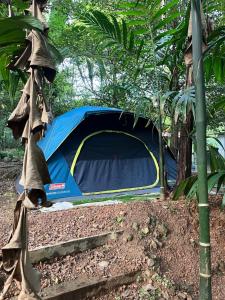 Giardino di Dragster Tents