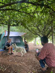 Ospiti di Dragster Tents