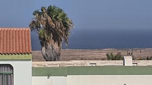 una pintura de una palmera en la parte superior de un edificio en Hera House, en Parque Holandes