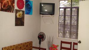 TV a/nebo společenská místnost v ubytování Lyn's Do Drop Inn Transient House