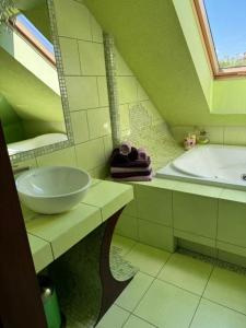 a bathroom with a sink and a tub and a mirror at Agroturystyka Alpakolandia Góra Szybowcowa in Jeżów Sudecki +7 photos