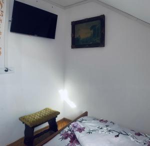 TV a/nebo společenská místnost v ubytování Pensiunea Numero 17
