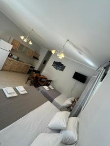 a large room with a bed and a tv at Suli Apartments in Limenas