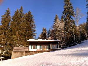 Ski-In Chalet in top location talvel