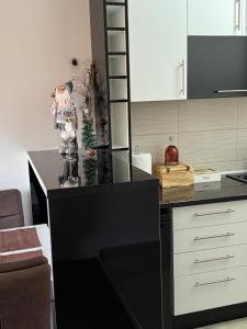 a kitchen with a black island with a ladder at T lux apartman in Kragujevac