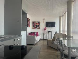 Televiisor ja/või meelelahutuskeskus majutusasutuses PENTHOUSE 10 MIN port croisière et aéroport