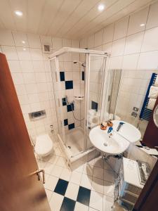 ein Badezimmer mit Dusche, Waschbecken und Toilette in der Unterkunft Hotel Tillmanns in Eltville