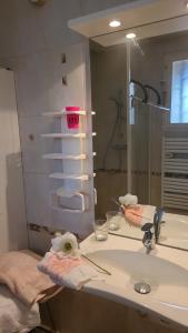 a bathroom with a sink and a shower and a mirror at La jolie Vue et La Maison de la Tour- Cordes-sur-Ciel in Les Cabannes