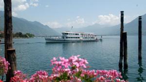 un barco en el agua con flores rosas en Clara by Fewotessin, en Losone