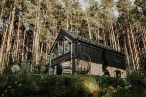 czarno-biały domek w lesie w obiekcie Domek Energia w mieście Borków