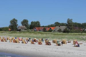 Un grupo de sillas sentadas en una playa en Oewern Diek 36, en Wustrow
