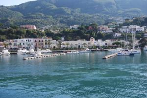 eine Gruppe von Booten, die in einem Hafen angedockt sind in der Unterkunft Casa Filomena in Ischia