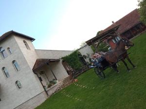 Hosté ubytování Šurička bajka
