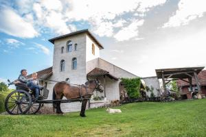 Jízda na koni v apartmánu nebo okolí