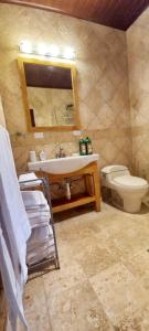 a bathroom with a sink and a toilet and a mirror at Summit View Guest House in Los Altos de Cerro Azul