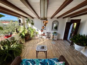 a living room filled with lots of plants at Hotel Altea Paradise 1917 - Adults Only in Altea