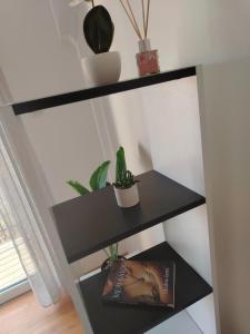 Fotografie z fotogalerie ubytování Apartman Nataly 2 v destinaci Kruševac