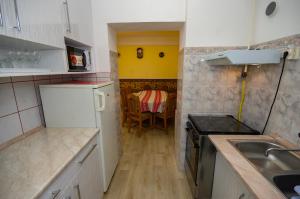 Kuchyňa alebo kuchynka v ubytovaní Amália Apartman