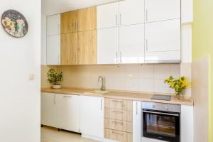 Apart hotel M S KATUNJANIN的厨房或小厨房