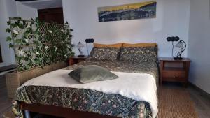Un dormitorio con una cama con una almohada encima. en Precioso apartamento con patio centro de Castropol, en Castropol