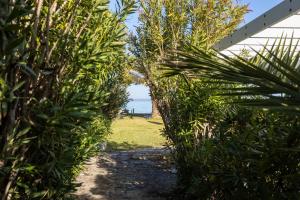 a path through bushes with the ocean in the background at House Soko - 30m to Beach, near Mako and Elephant beach bar in Pefkohori