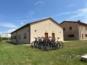 Jízda na kole v ubytování B&B Podere Curtatone nebo okolí