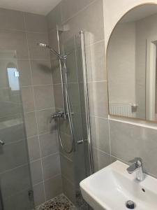 a bathroom with a shower and a sink and a mirror at FREIGEIST Rooms in Haßloch +10 photos