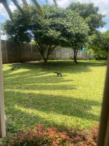 En have udenfor Majestic Marlborough