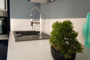 Kuchyňa alebo kuchynka v ubytovaní Bel appartement climatisé & parking