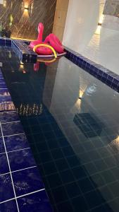 a swimming pool with two toys in the water at Casa Bruxelas in Tamandaré