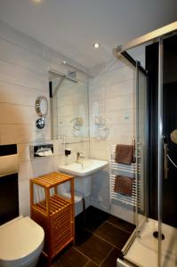 ein Bad mit einem Waschbecken, einer Dusche und einem WC in der Unterkunft Hotel Weiße Taube in Döbeln