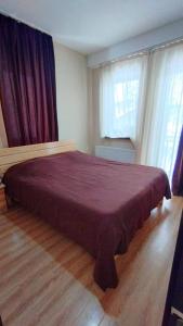 a bedroom with a large bed in front of a window at bakuriani in Bakuriani