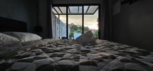 Fotografie z fotogalerie ubytování Kapi Kapi House #1 v destinaci Agua Azul
