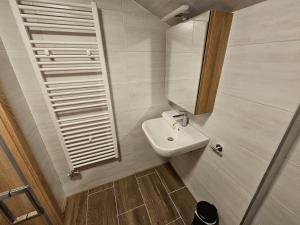 Kúpeľňa v ubytovaní New, cozy retreat, 300 m to ski bus in Schladming Region