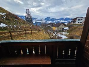 Príroda v okolí apartmánu