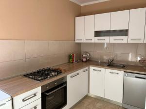 Kuchyň nebo kuchyňský kout v ubytování Apartman Mirna + 7 fotografií