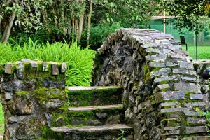 Zahrada ubytování Champagne Castle Hotel + 73 fotografií