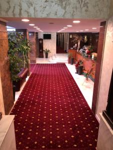 Billede fra billedgalleriet på Hotel President i Scorniceşti + 10 billeder