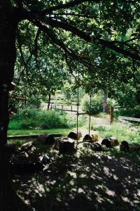 Ein Garten an der Unterkunft Tiny House with a Stunning Lake View 30 Min from Gothenburg
