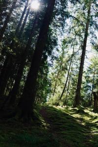 Naturlandschaft in der Nähe der Pension