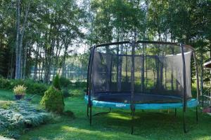 Ein Garten an der Unterkunft Tiny House with a Stunning Lake View 30 Min from Gothenburg