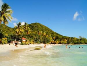 eine Gruppe von Menschen an einem Strand mit Palmen in der Unterkunft Vos vacances à 800m de la plage de l anse figuier in Rivière-Pilote
